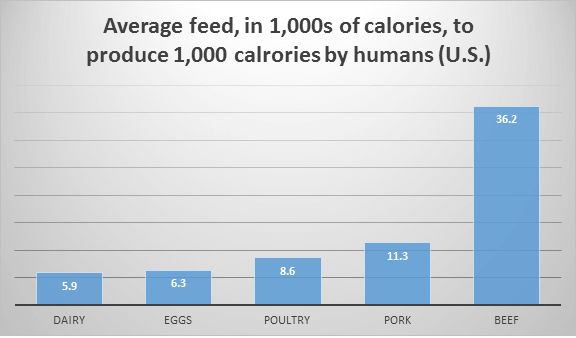 average feed in 1,000s of calories to produce 1,000 calories by humans