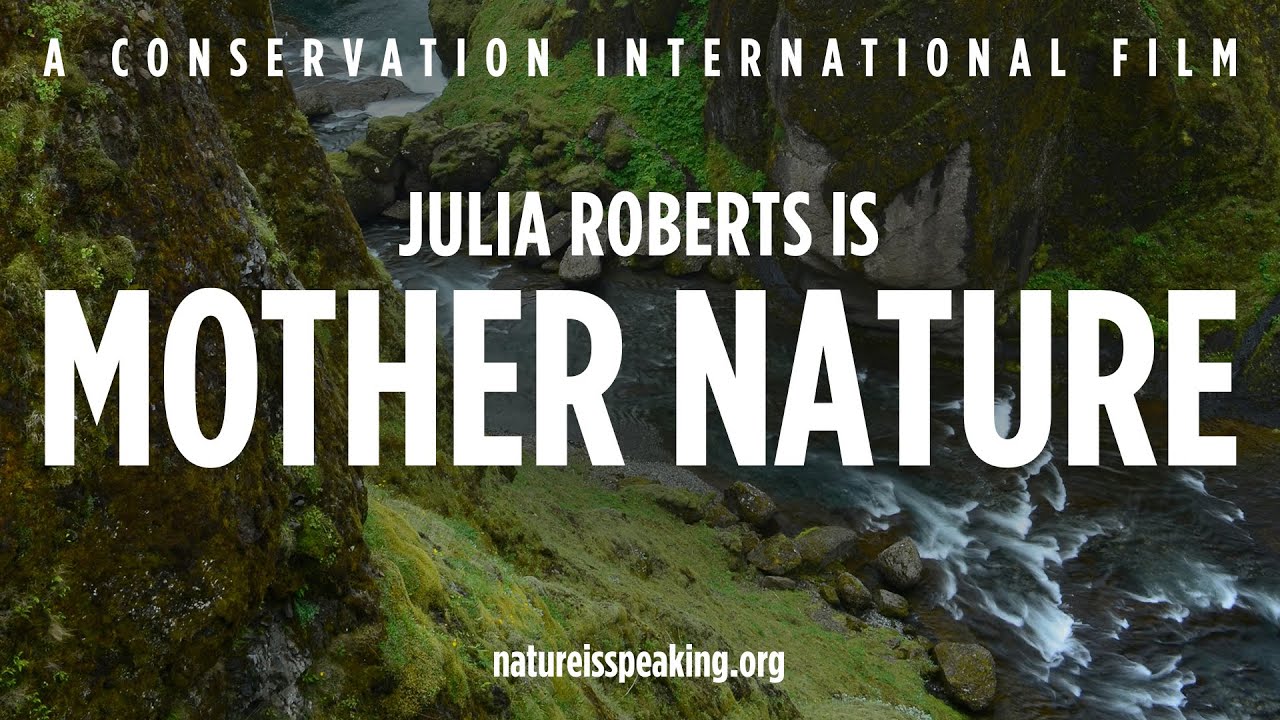 Julia Roberts, Kevin Spacey & Other A-List Celebrities Featured in Eco  Video Series – Watch It Here | Greener Ideal