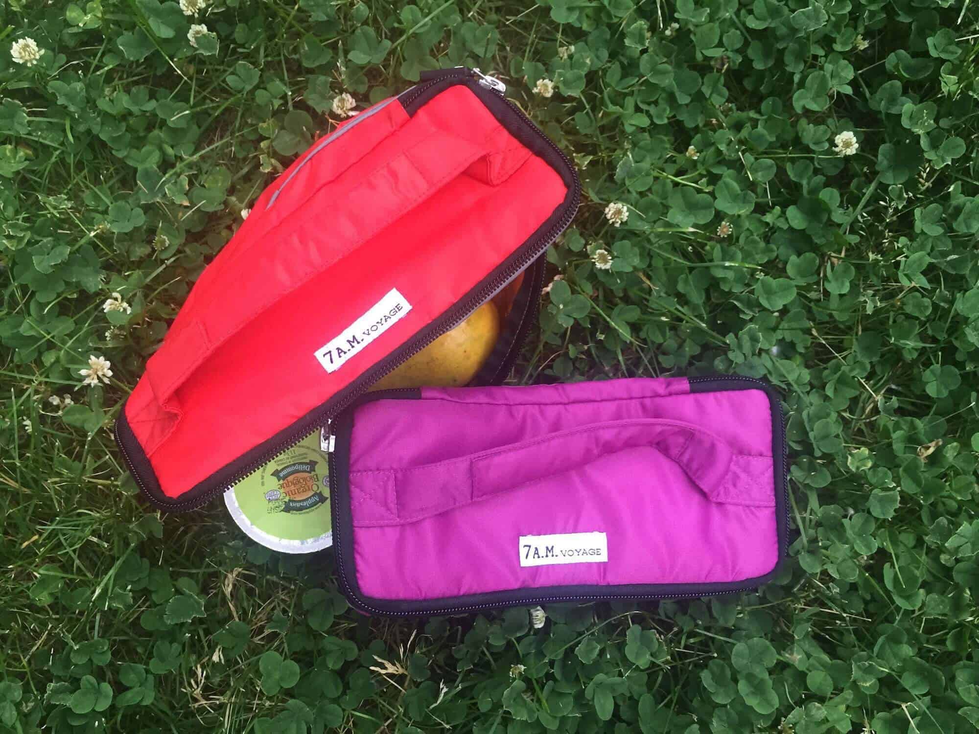 picnic lunch box