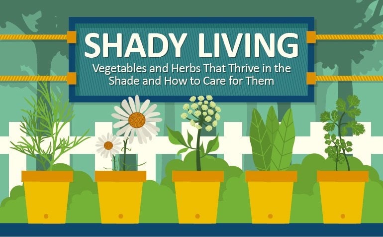 Learn How to Garden in the Shade!