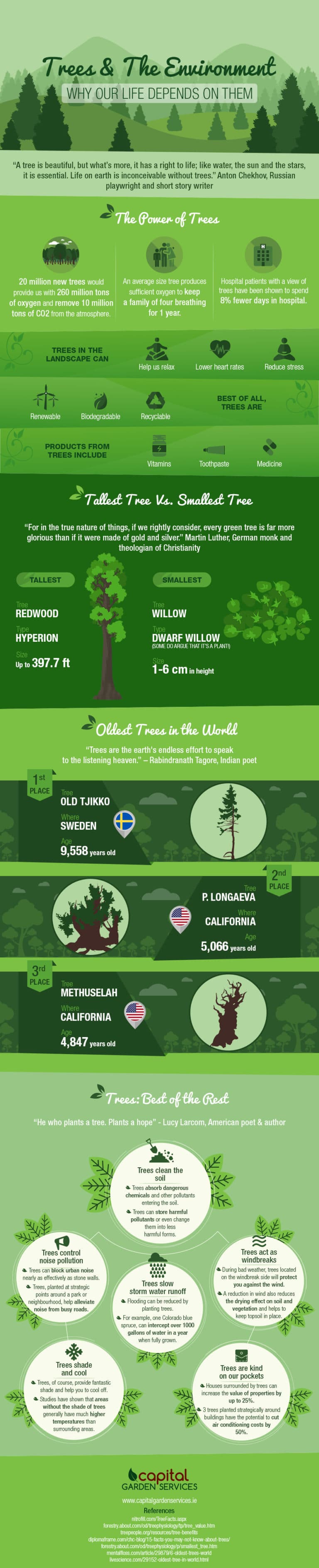 Trees & The Environment: Why Our Life Depends On Them [Infographic ...