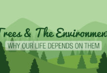 trees environment infographic header