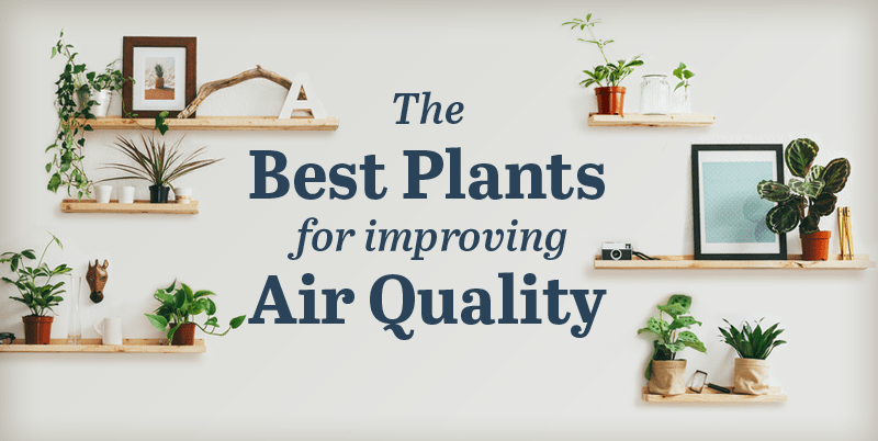air quality infographic