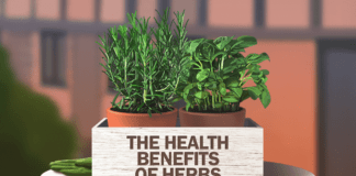health benefits of herbs banner