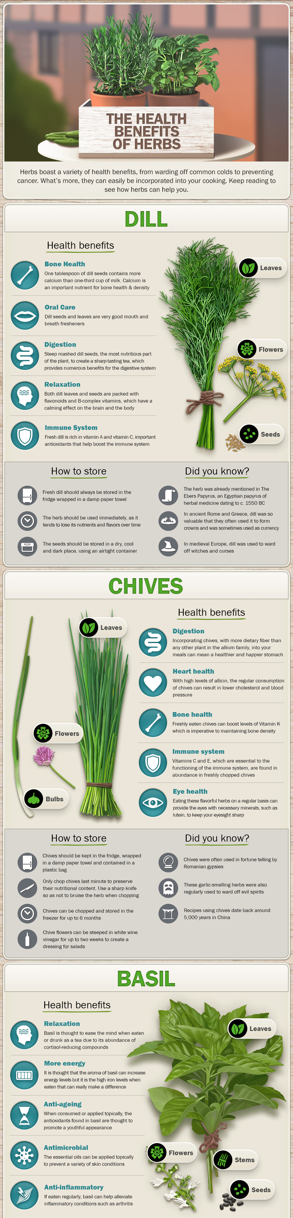 The Health Benefits of Herbs [Infographic] | Greener Ideal