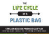 The Life Cycle of a Plastic bag