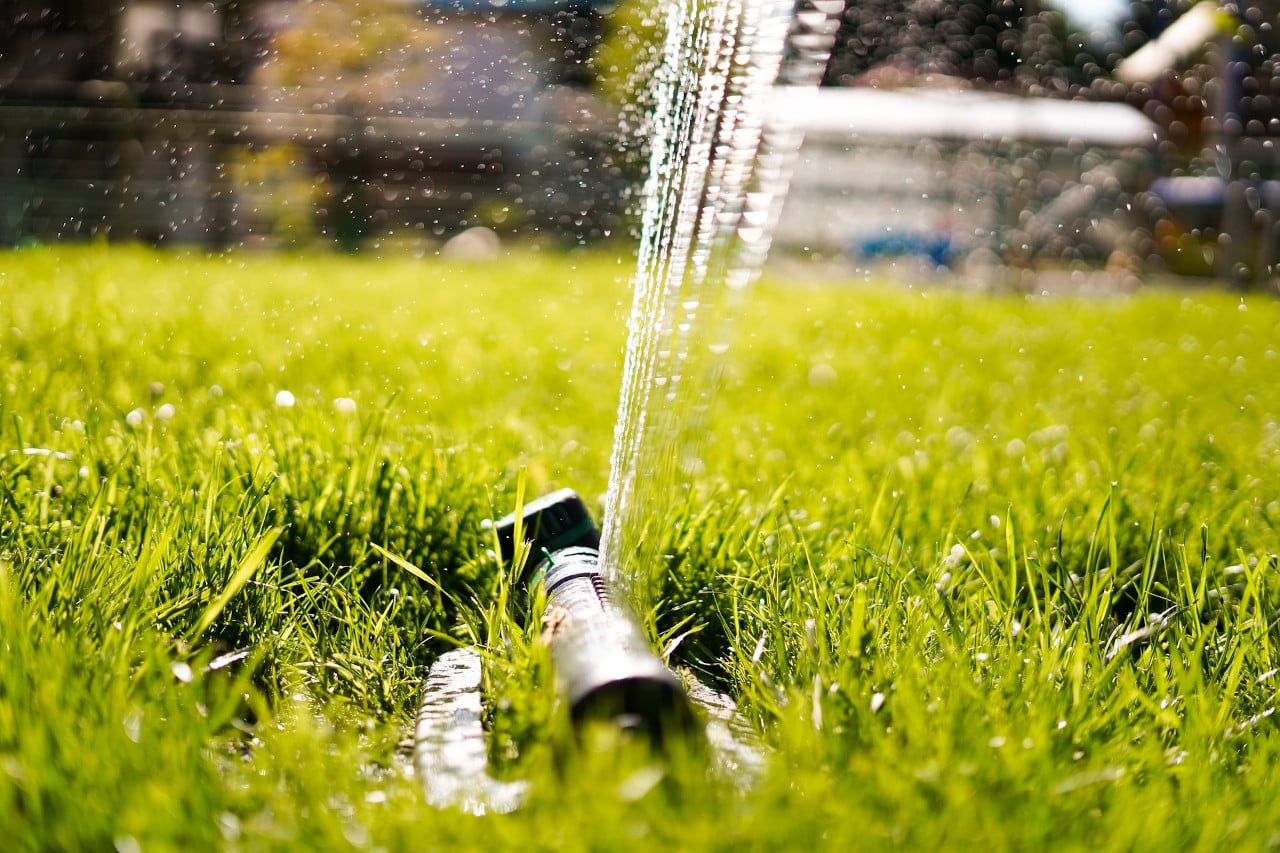watering an Eco-Friendly lawn