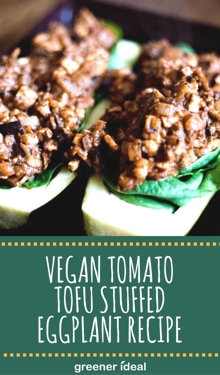 Vegan Tomato Tofu Stuffed Eggplant Recipe
