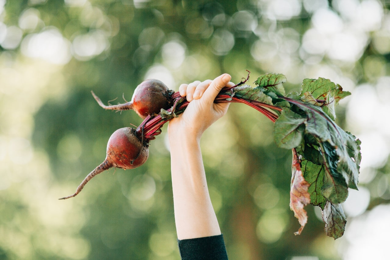 fresh from the farm produce