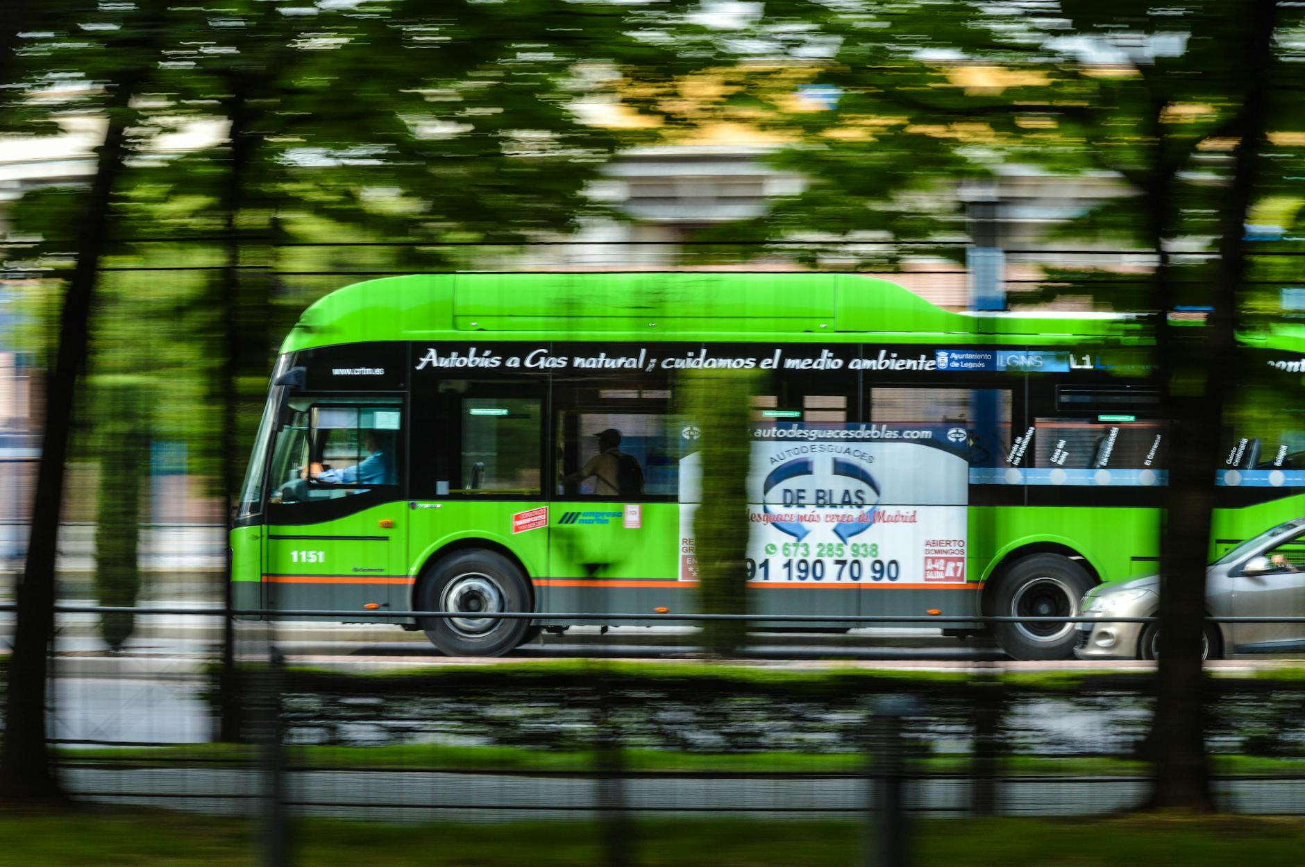green bus