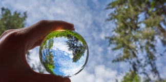 transparent sphere with the reflection of nature surrounding it.