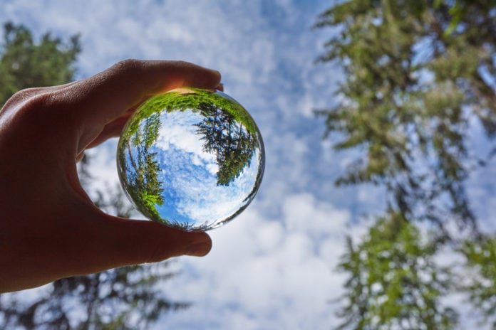 transparent sphere with the reflection of nature surrounding it.