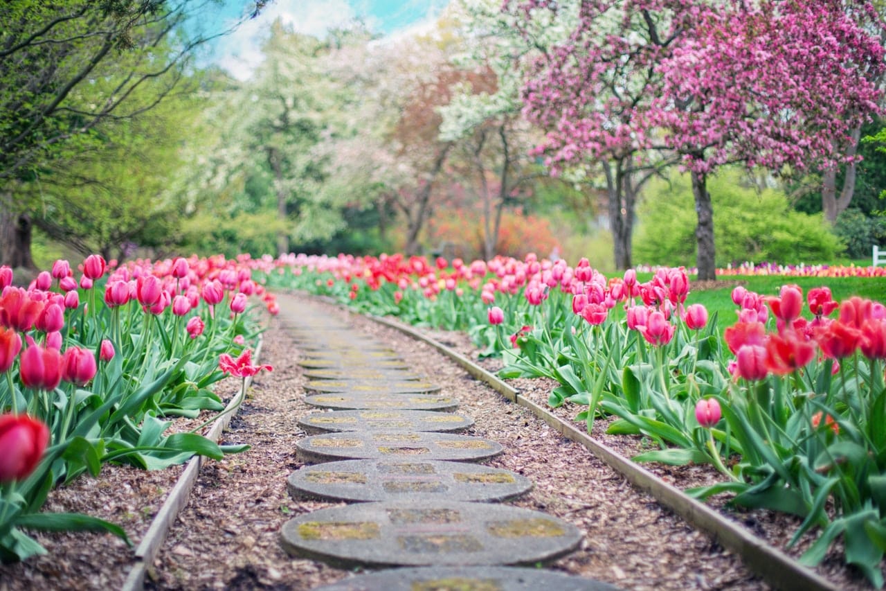 10 Homemade Weed Killers To Use In Your Garden Greener Ideal