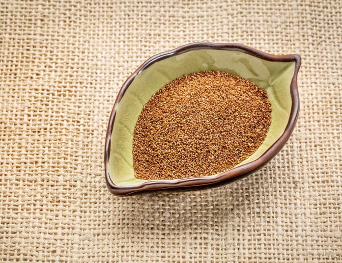 teff grain in a bowl teff grain in a bowl