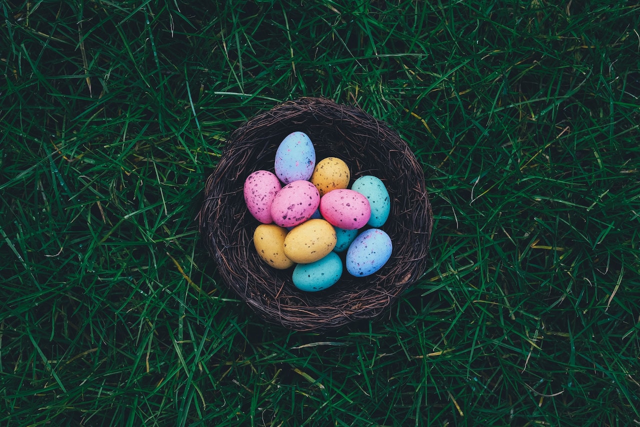 colored easter eggs - sustainable easter