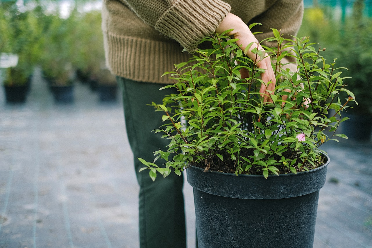 Gardening