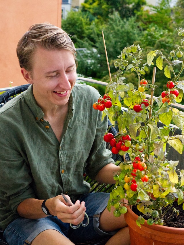 gardening relieves stress
