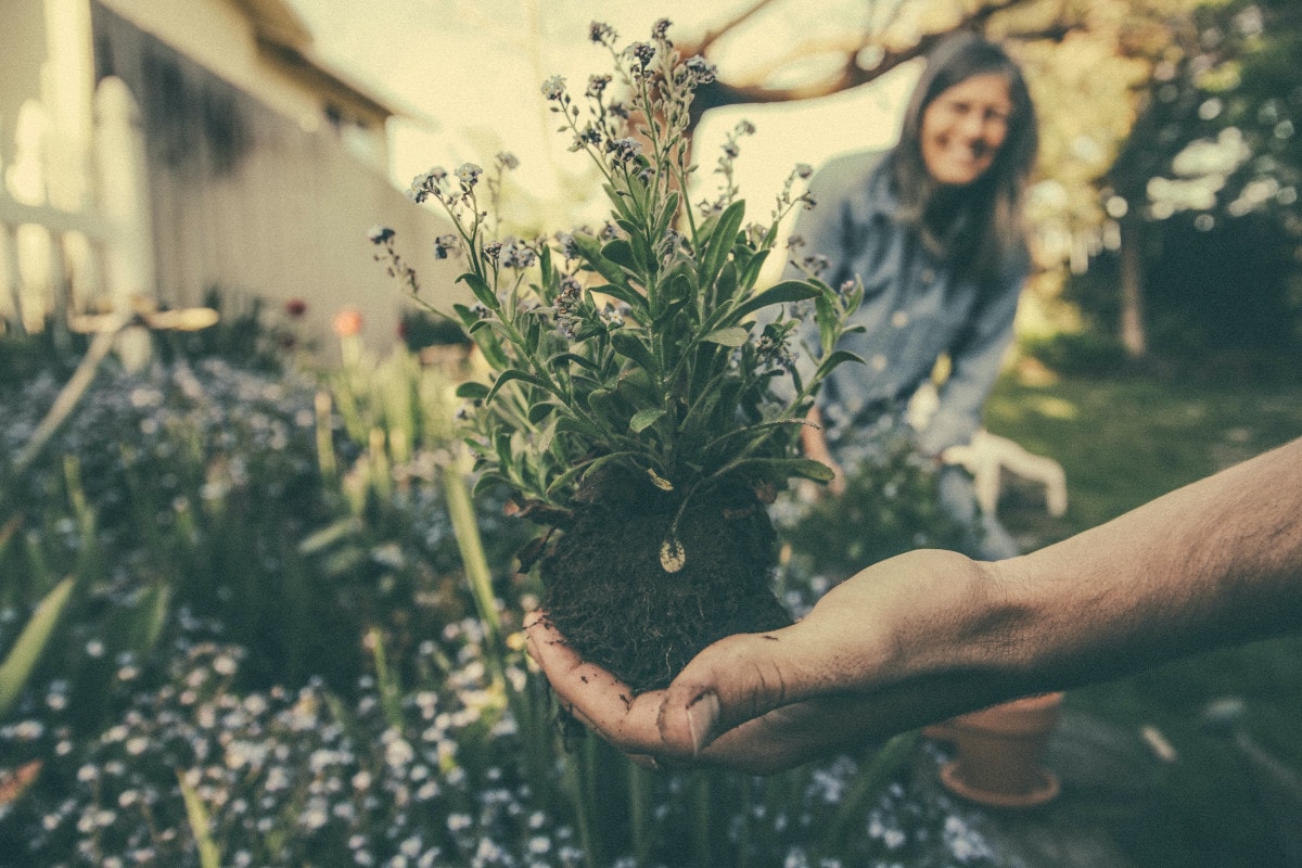 eco-friendly habits - gardening