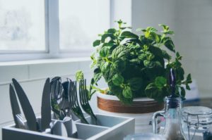 best herbs for your kitchen