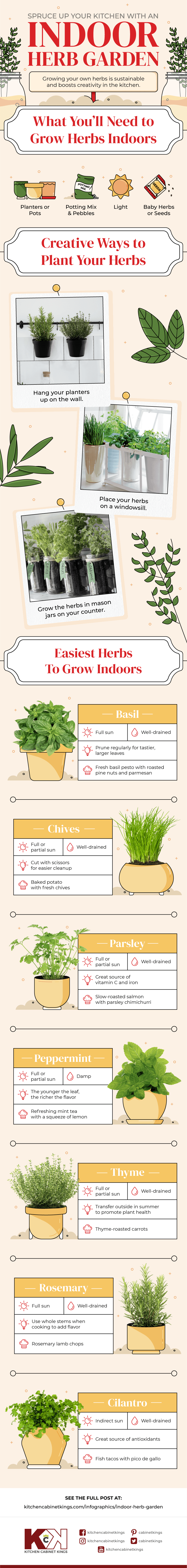 best herbs to grow in your kitchen
