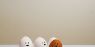 Egg Substitutes for a Vegan Diet