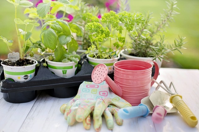 garden on balcony supplies