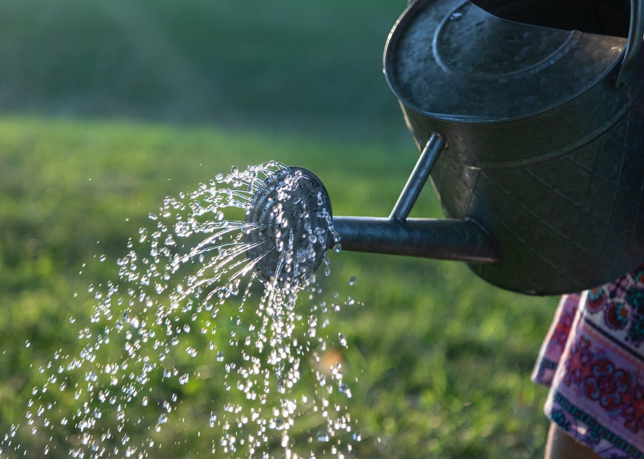 self-sustaining garden - conserve water