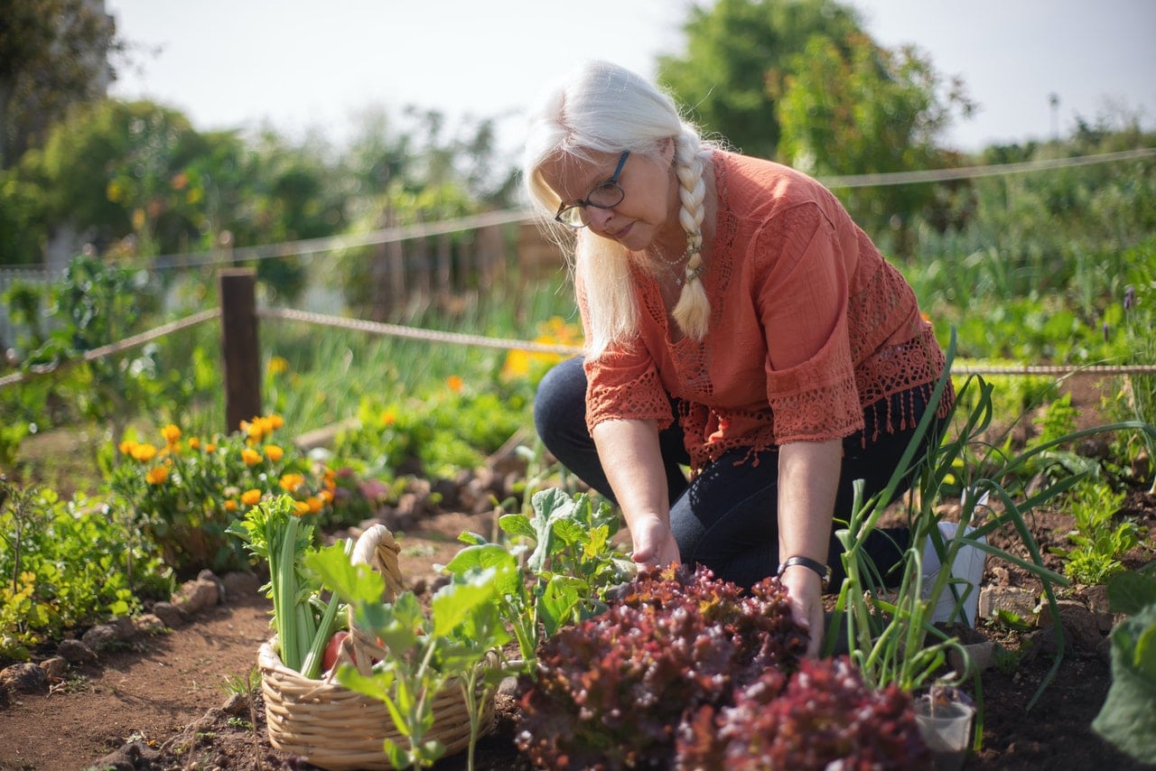 buy organic food or grow your own