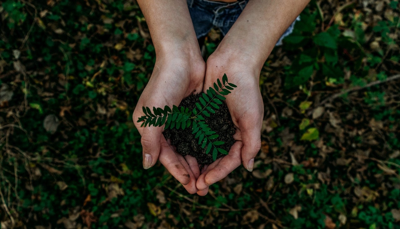 end fast fashion save earth