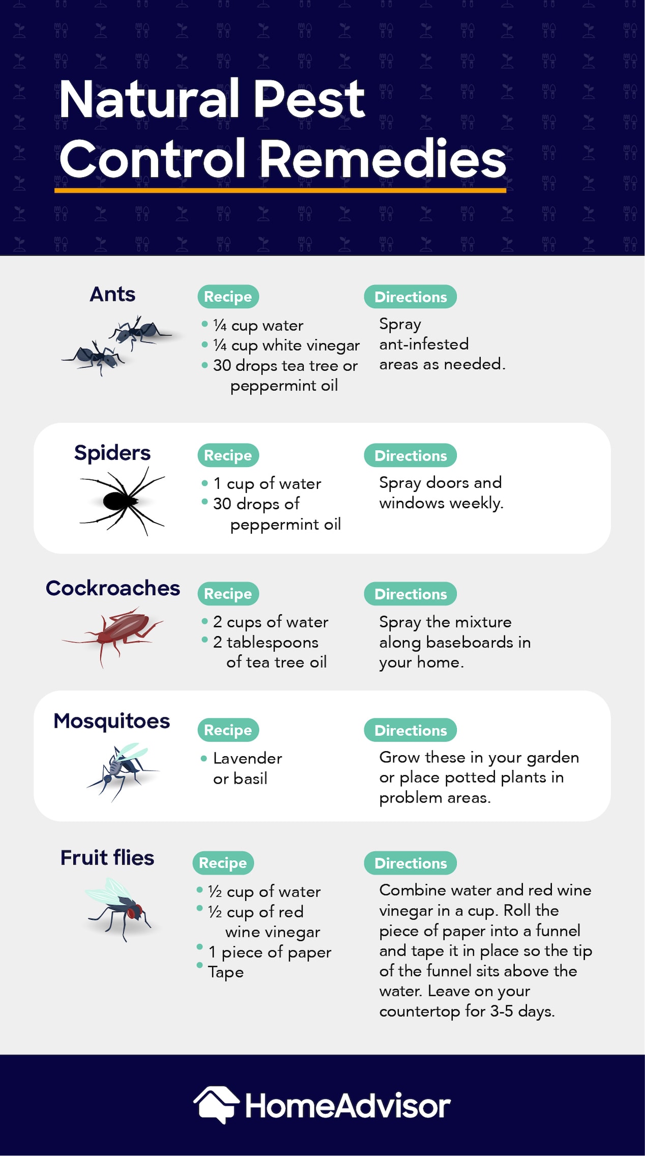 Natural Pest Control Remedies
