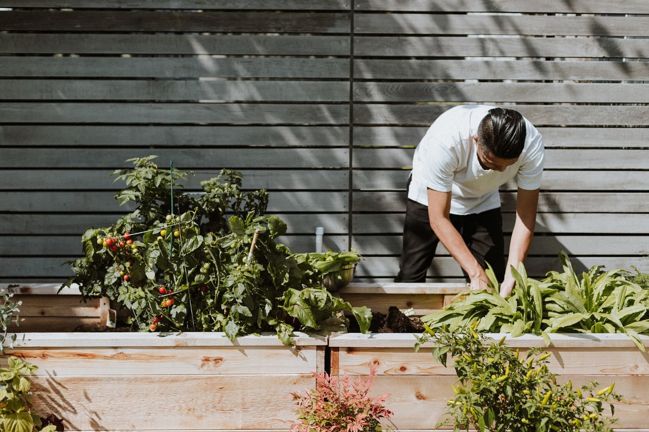 How to Grow Lots of Herbs in a Small Space • Gardenary