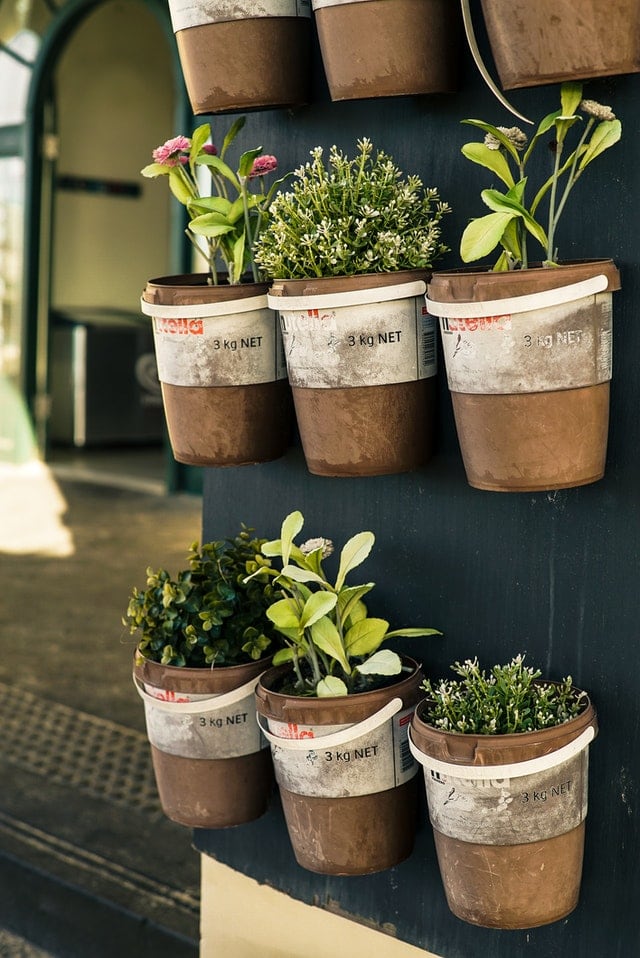 How to Grow Lots of Herbs in a Small Space • Gardenary