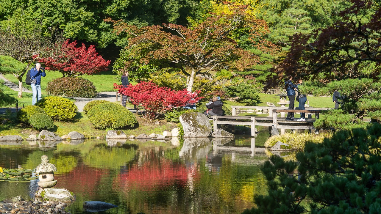 Seattle Arboretum Japanese Garden