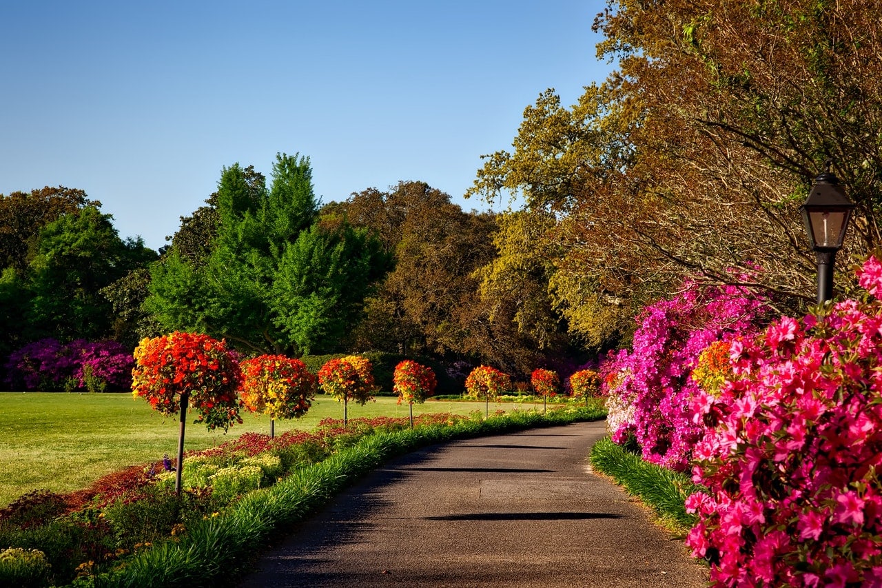 stunning botanical gardens in the US