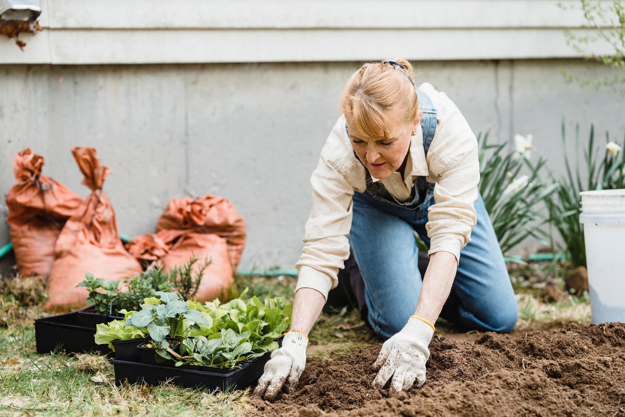 soil preparation - gardening mistakes