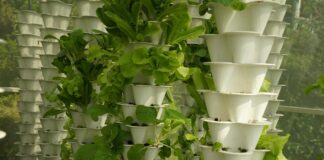 hydroponics gardening at home