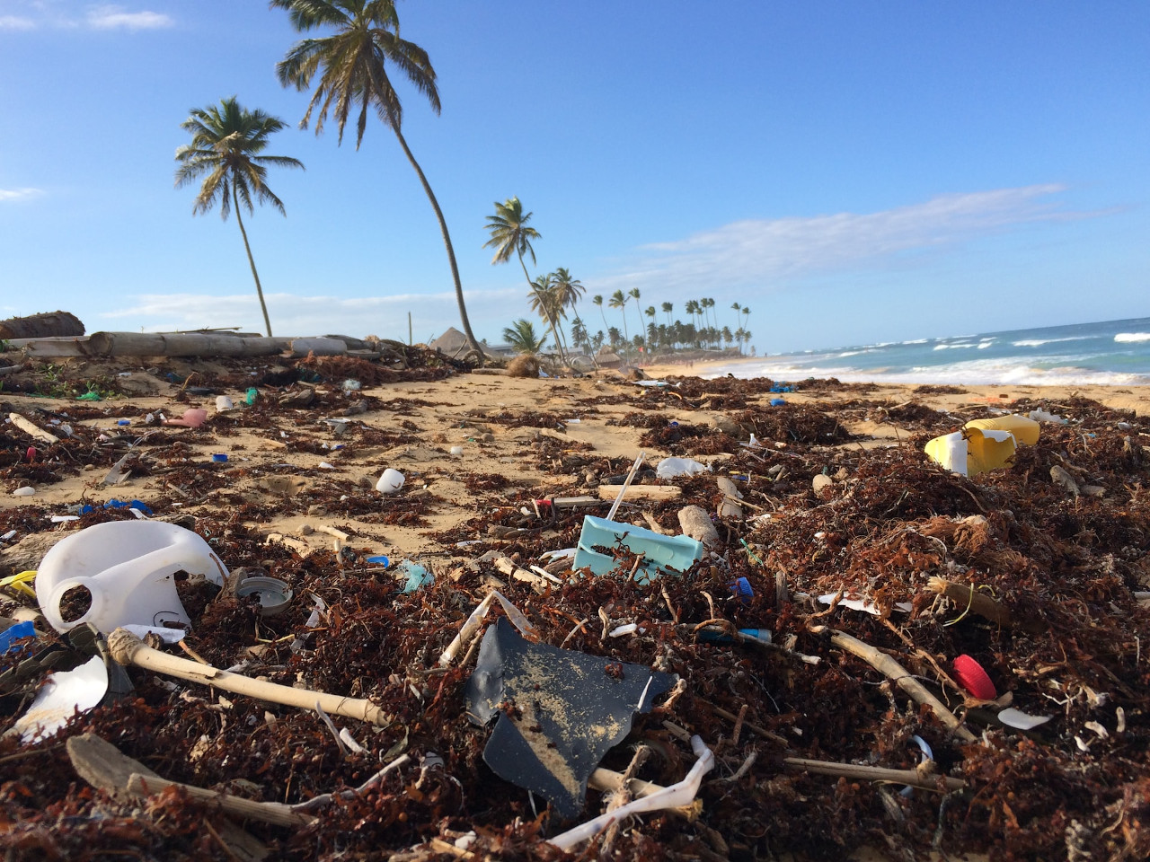 plastic pollution: Canada set to ban single-use plastics