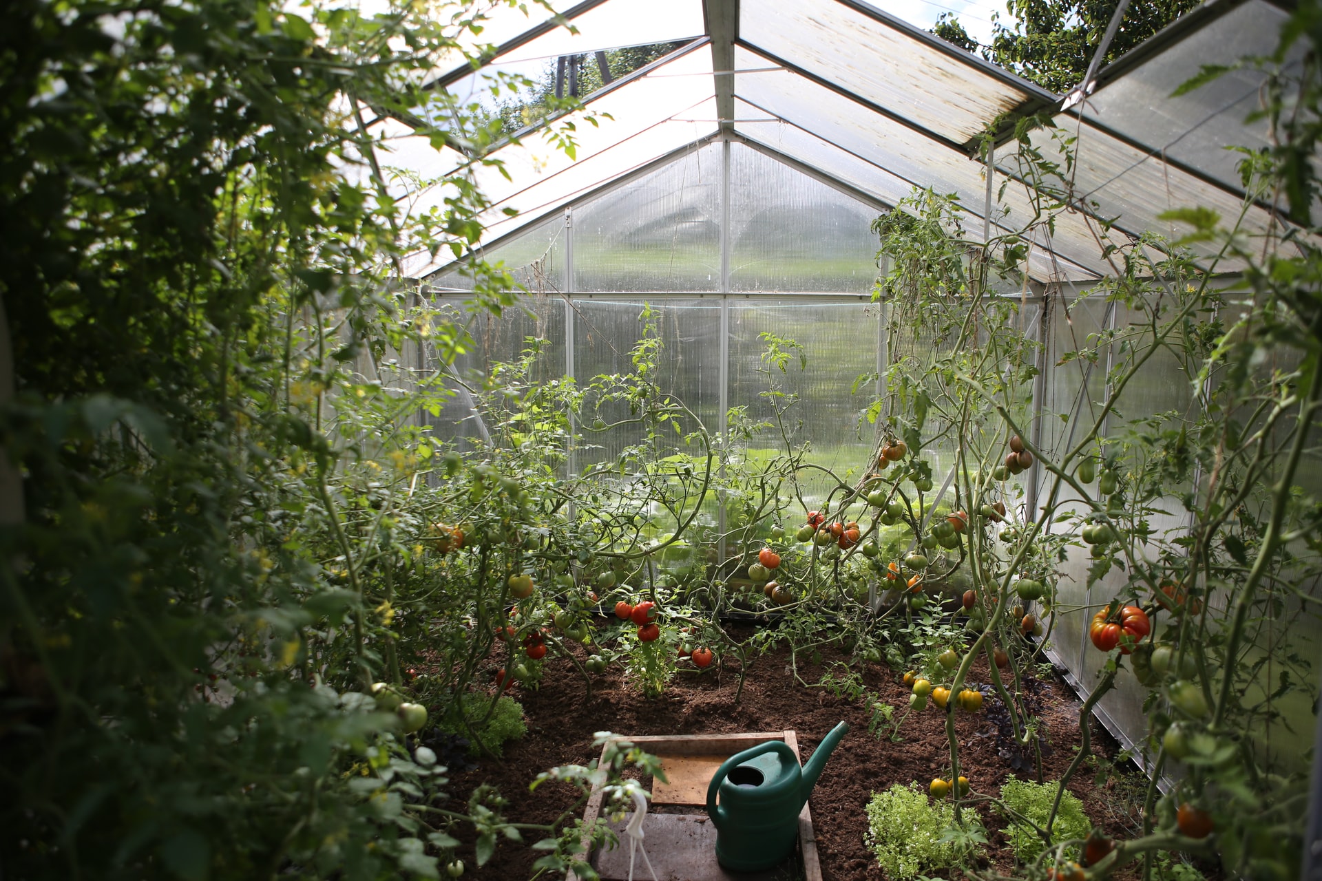 Decorative Greenhouse Installation,