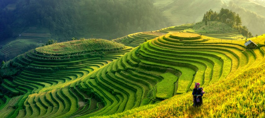 control soil erosion with terraces