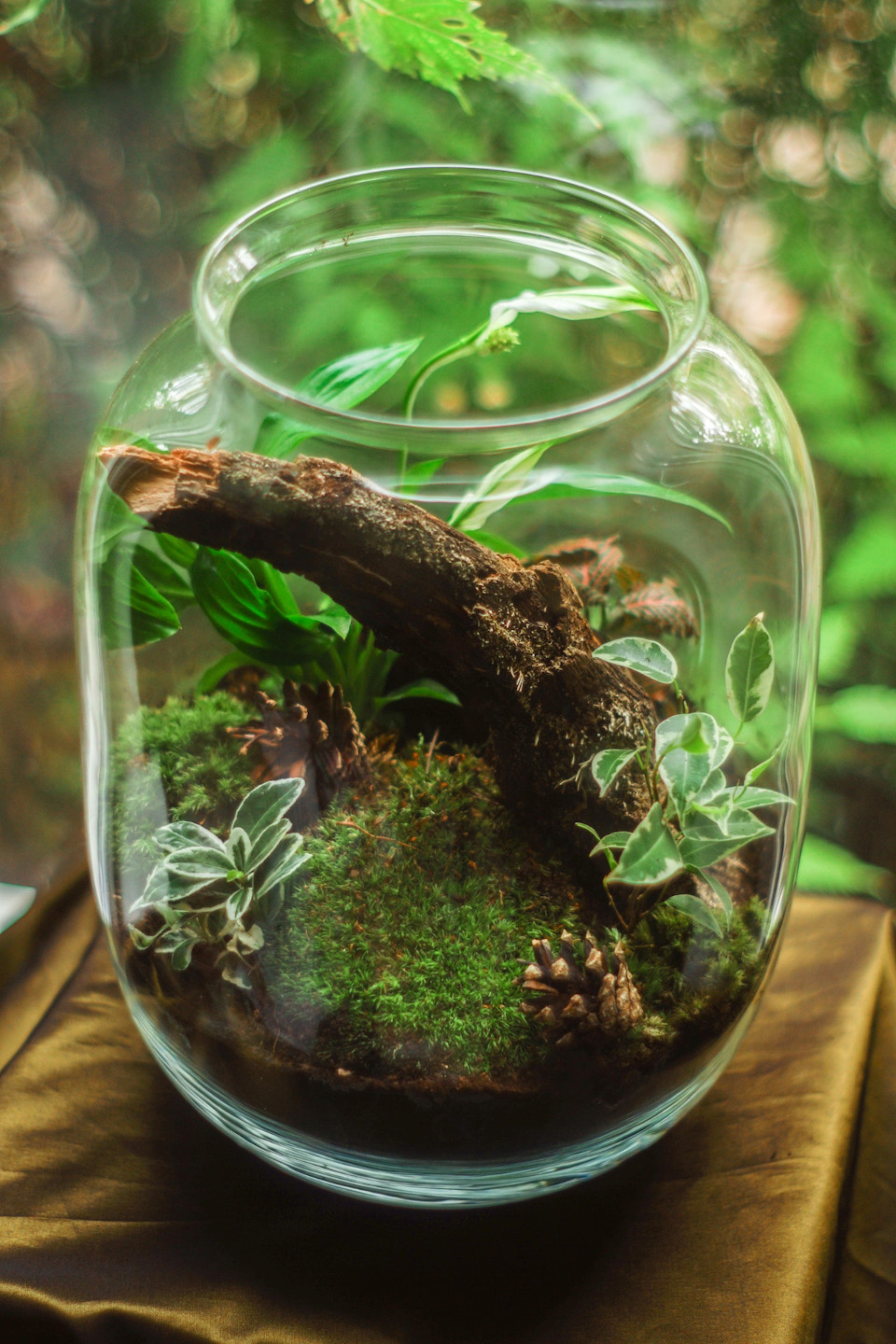 terrarium