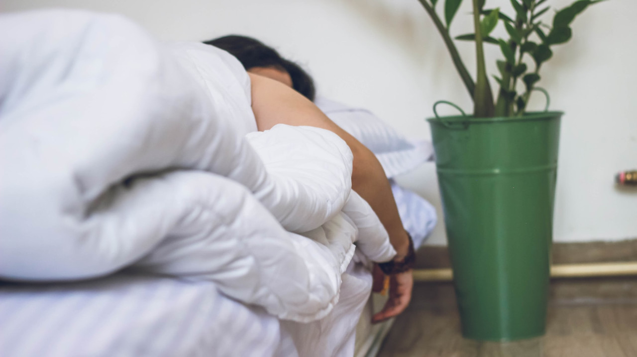 plants may improve sleep quality