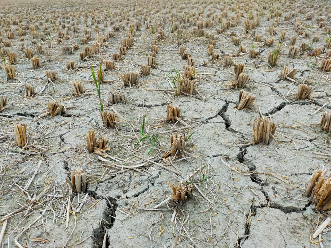 climate change agriculture