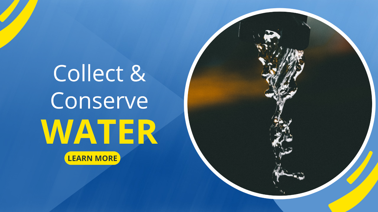 collect and conserve water