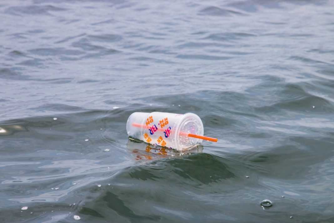 Plastic straws make ocean pollution: Environment-friendly alternatives