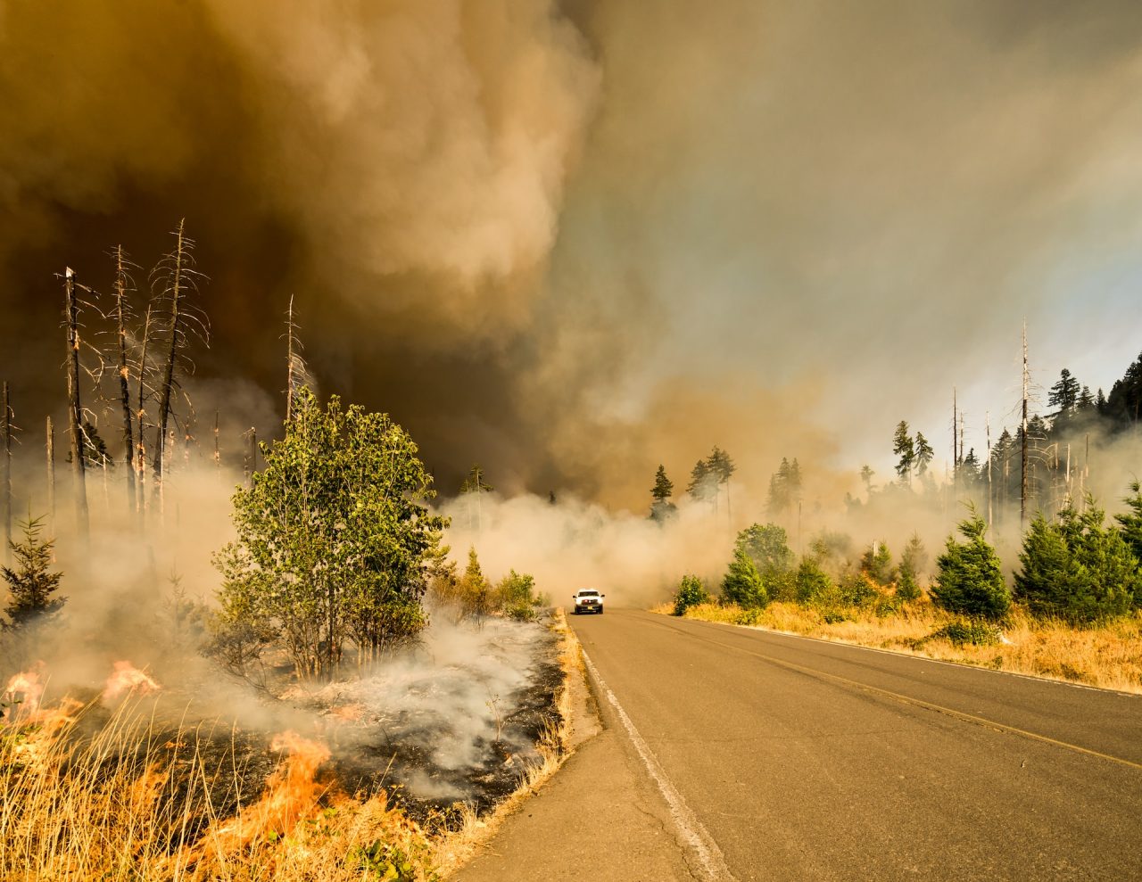 reversing climate change