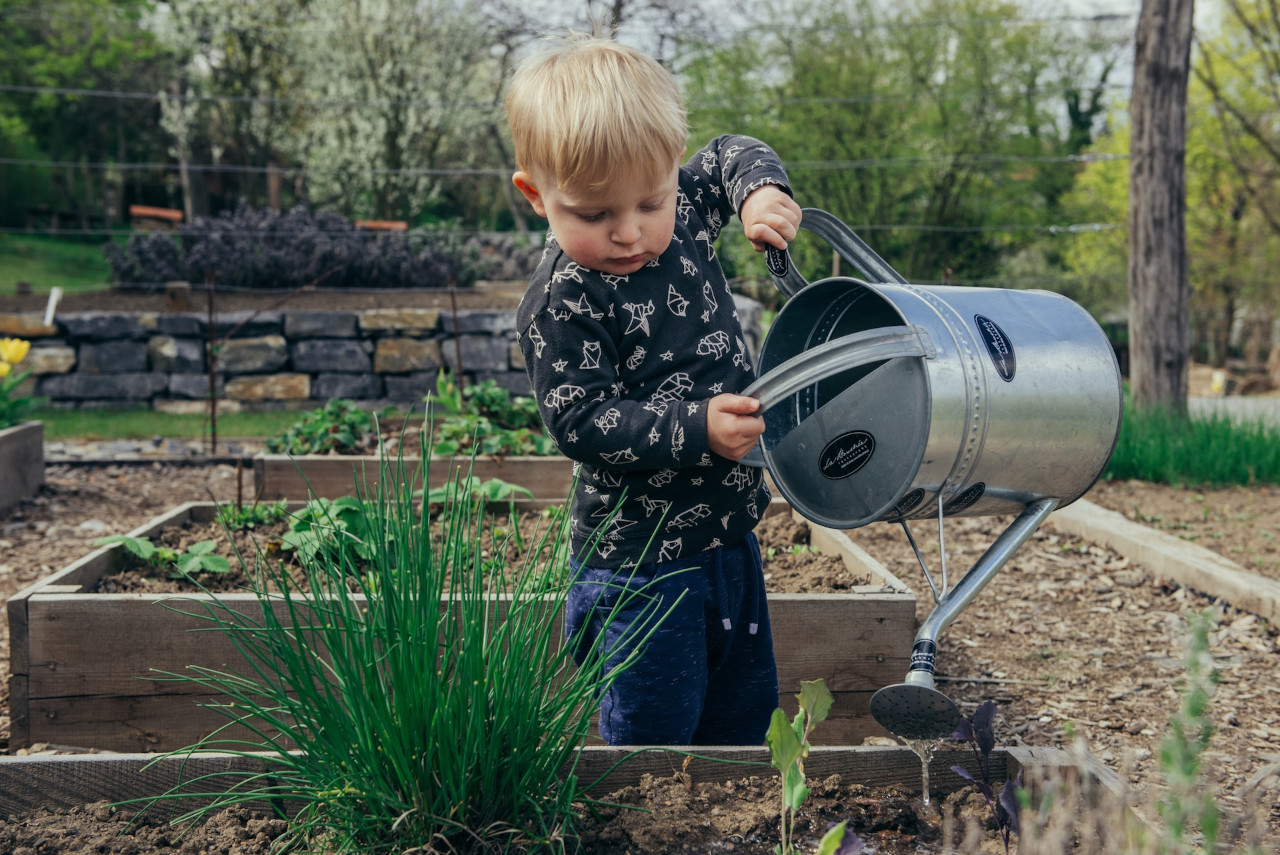get kids interested in gardening