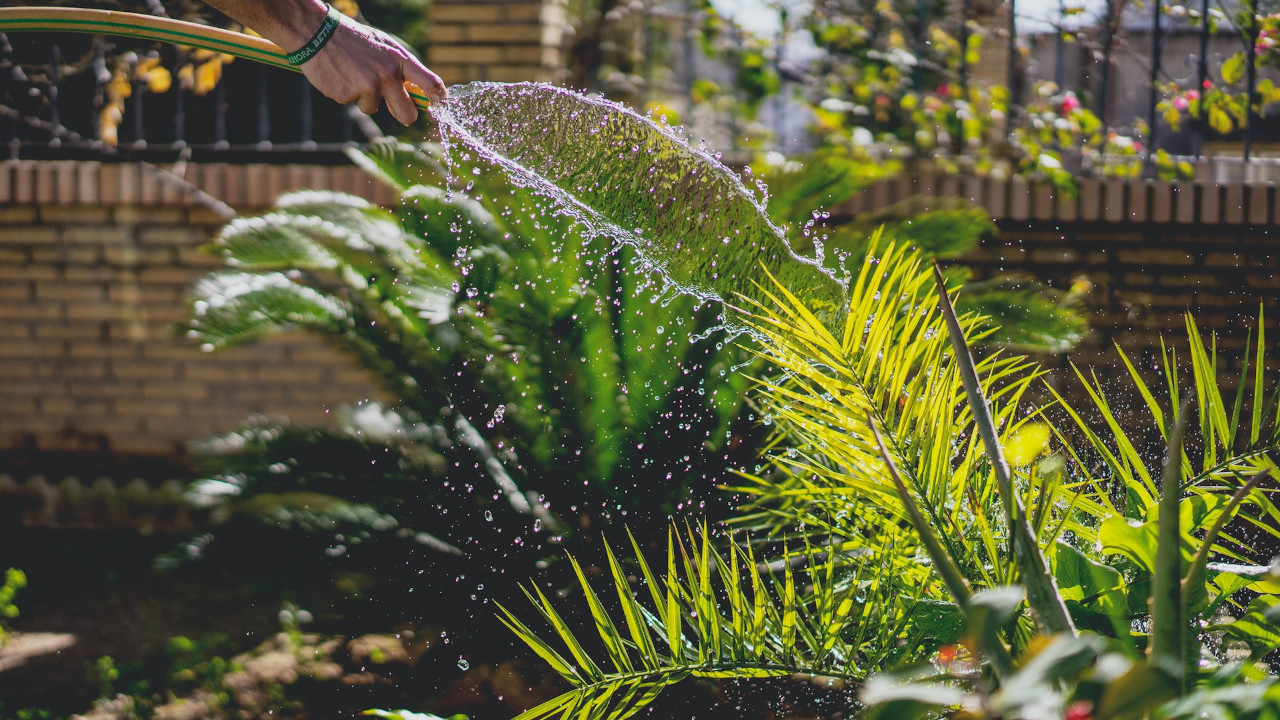 Ditch the Chemicals, Go Green: Eco-Friendly Hacks for a Vibrant Garden