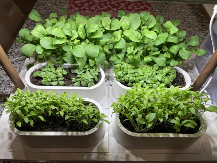 AUK smart indoor gardening system