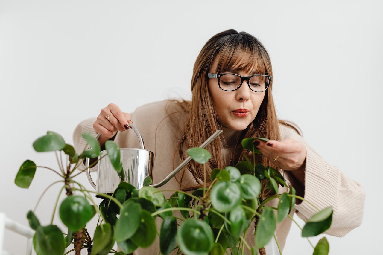 plant parent tips