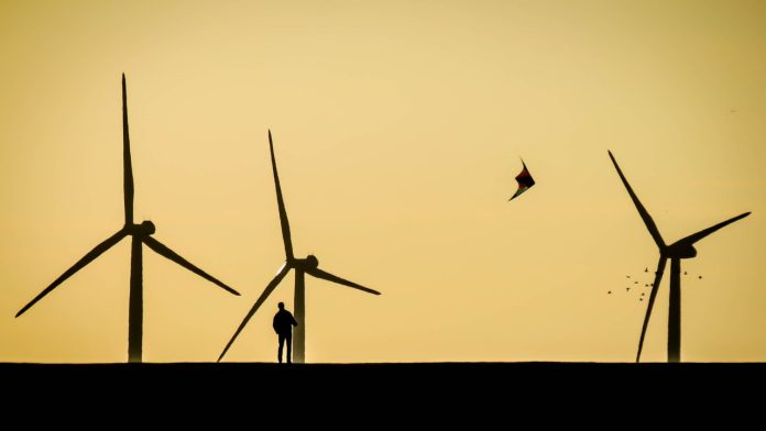 wind turbines birds and bats